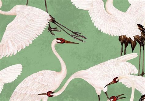 gucci crane wallpaper green